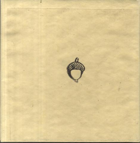Drawing of an acorn on a beige background 