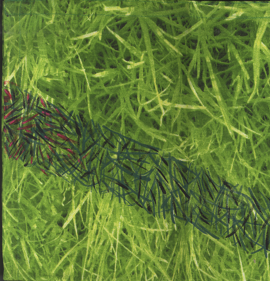 Canvas book cover with closeup print of grass and digonal strip of painted grass