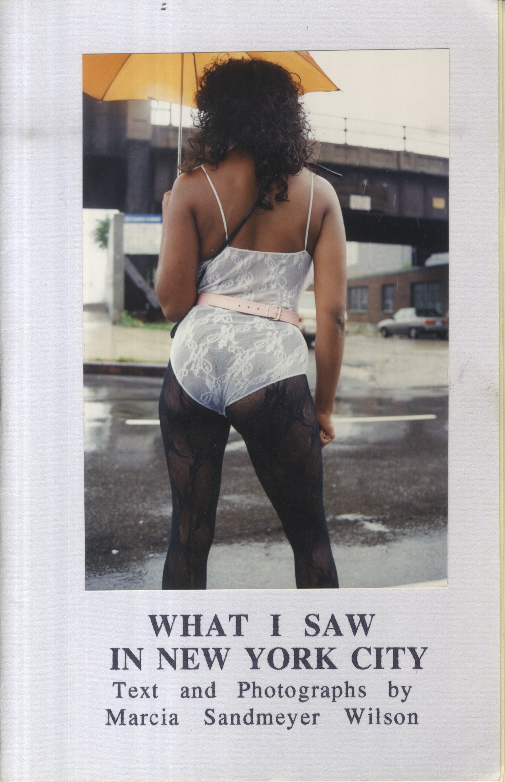 Cover of What I saw in New York City by Marcia Sandmeyer Wilson