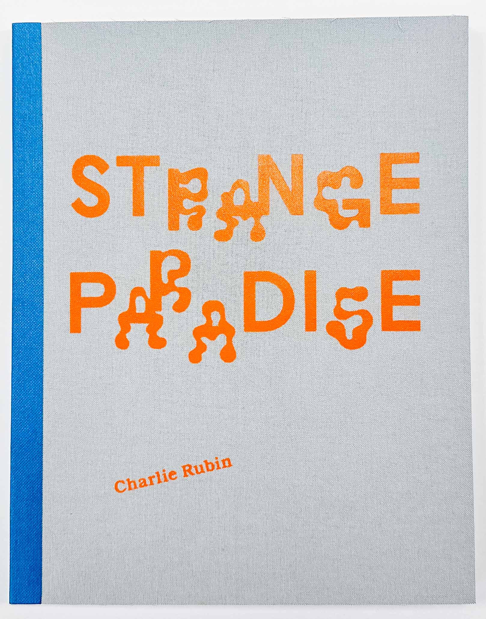 light grey cover with the title in this orange, squiggly text