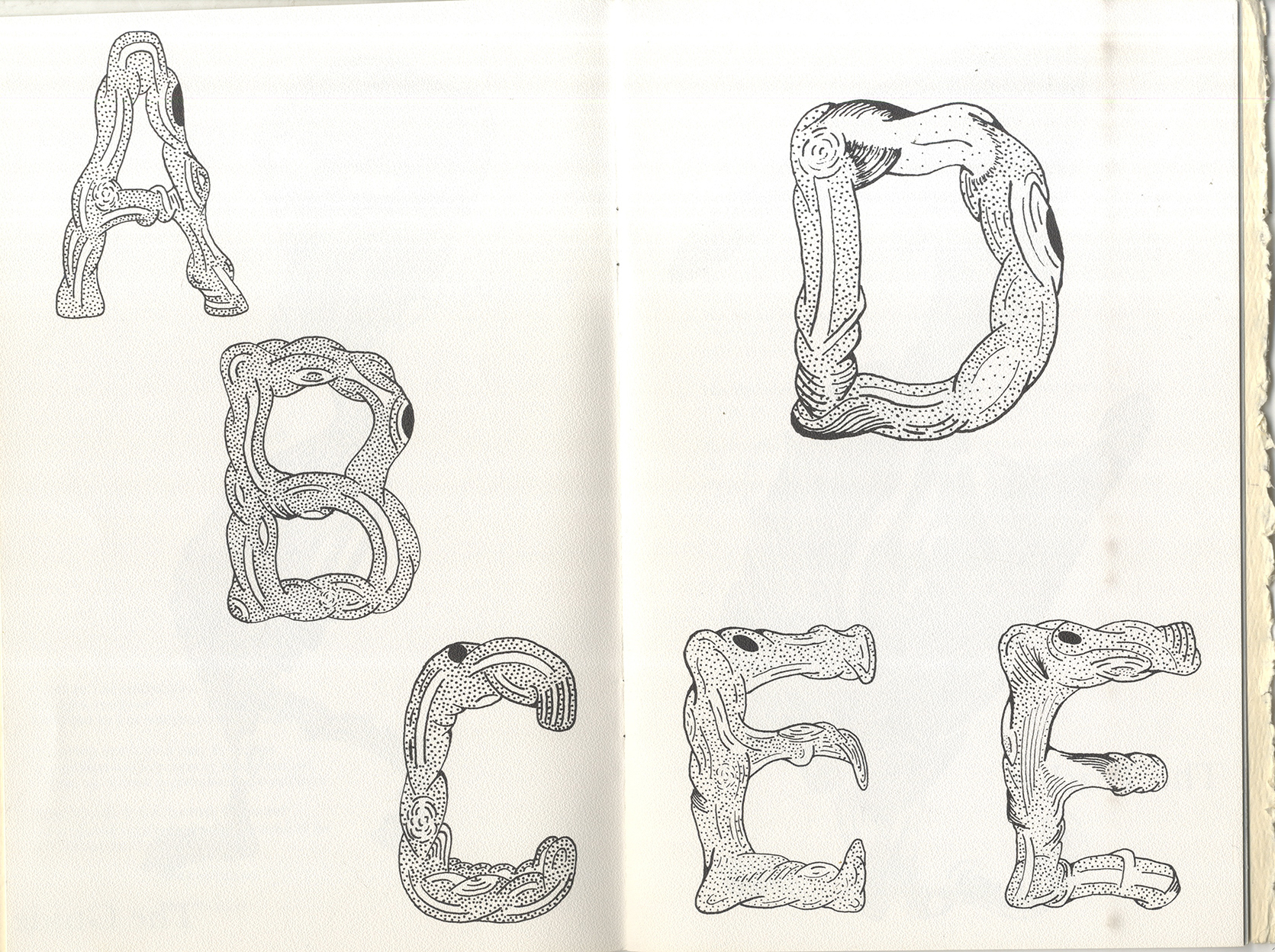 Pages from Lee's alphabet: born this 23rd day of September, 1977, Lee H. Michael Spiegelman by Lon Spiegelman