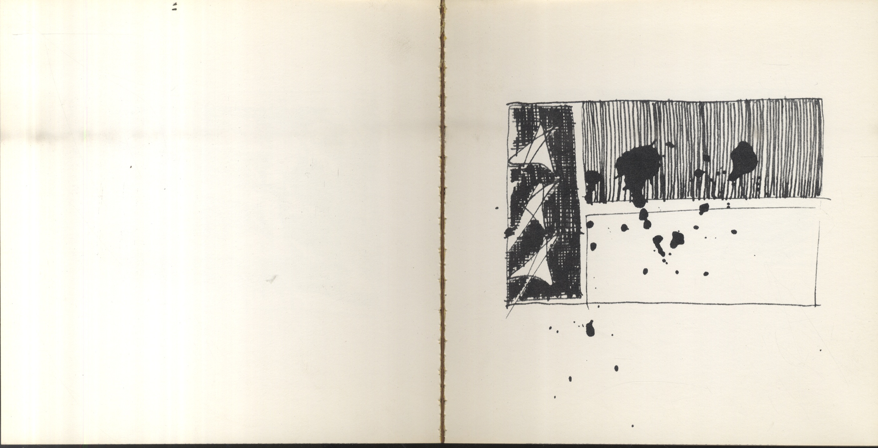 Pages from Starting with flags : forty-three drawings by Kingsley Parker