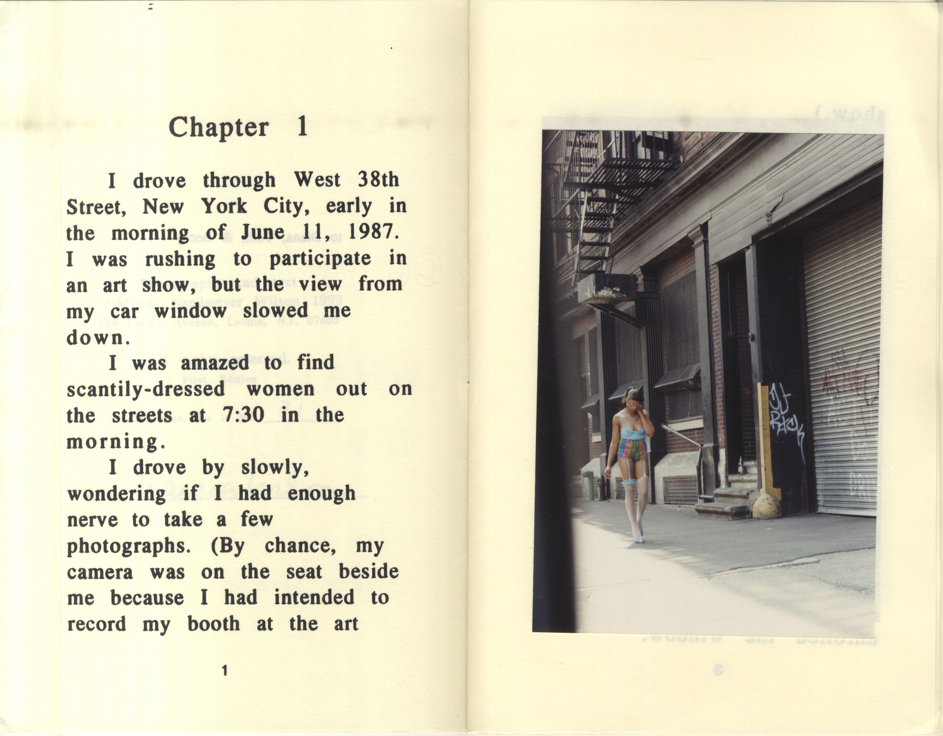 Pages from What I saw in New York City by Marcia Sandmeyer Wilson
