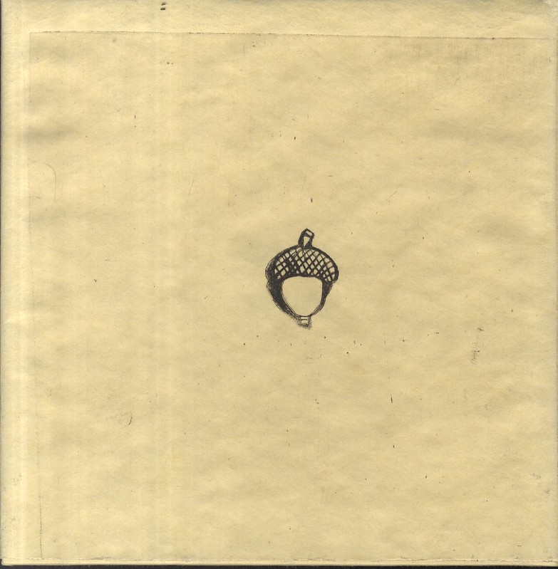 Page from artists book featuring a hand-drawn acorn. 