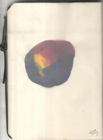 Translucent book cover with a abstarct multicolor circle on the first page