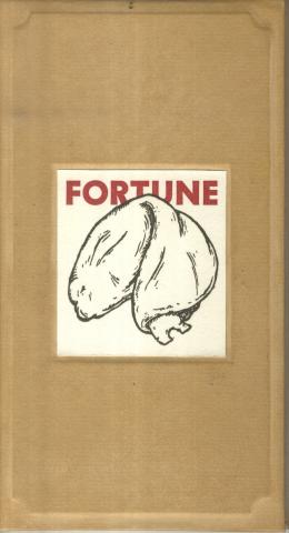 Khakhi book cover with a square cut in the center that reveals the title in red and a drawing of fortune cookie on the first page